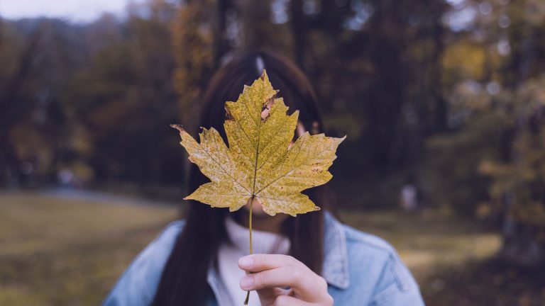 Read more about the article מילים מהלב לזו שעדיין מסתתרת